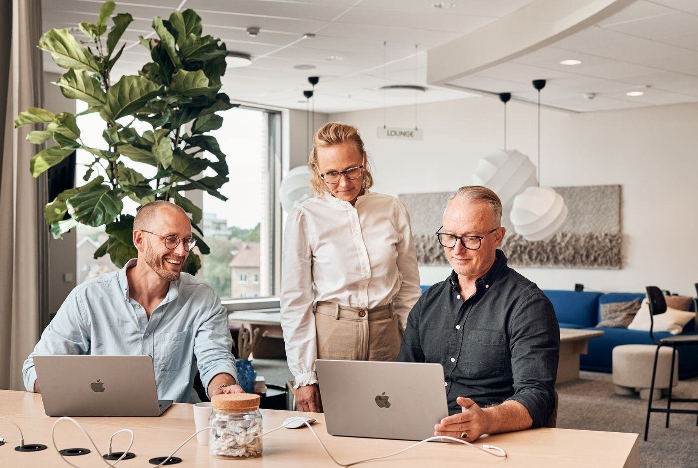 avensia-three-people-working