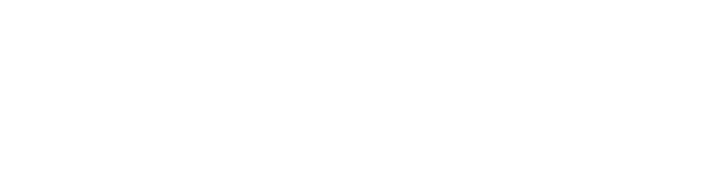 scandinavianphoto-white-logo